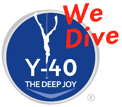 Y 40 logo